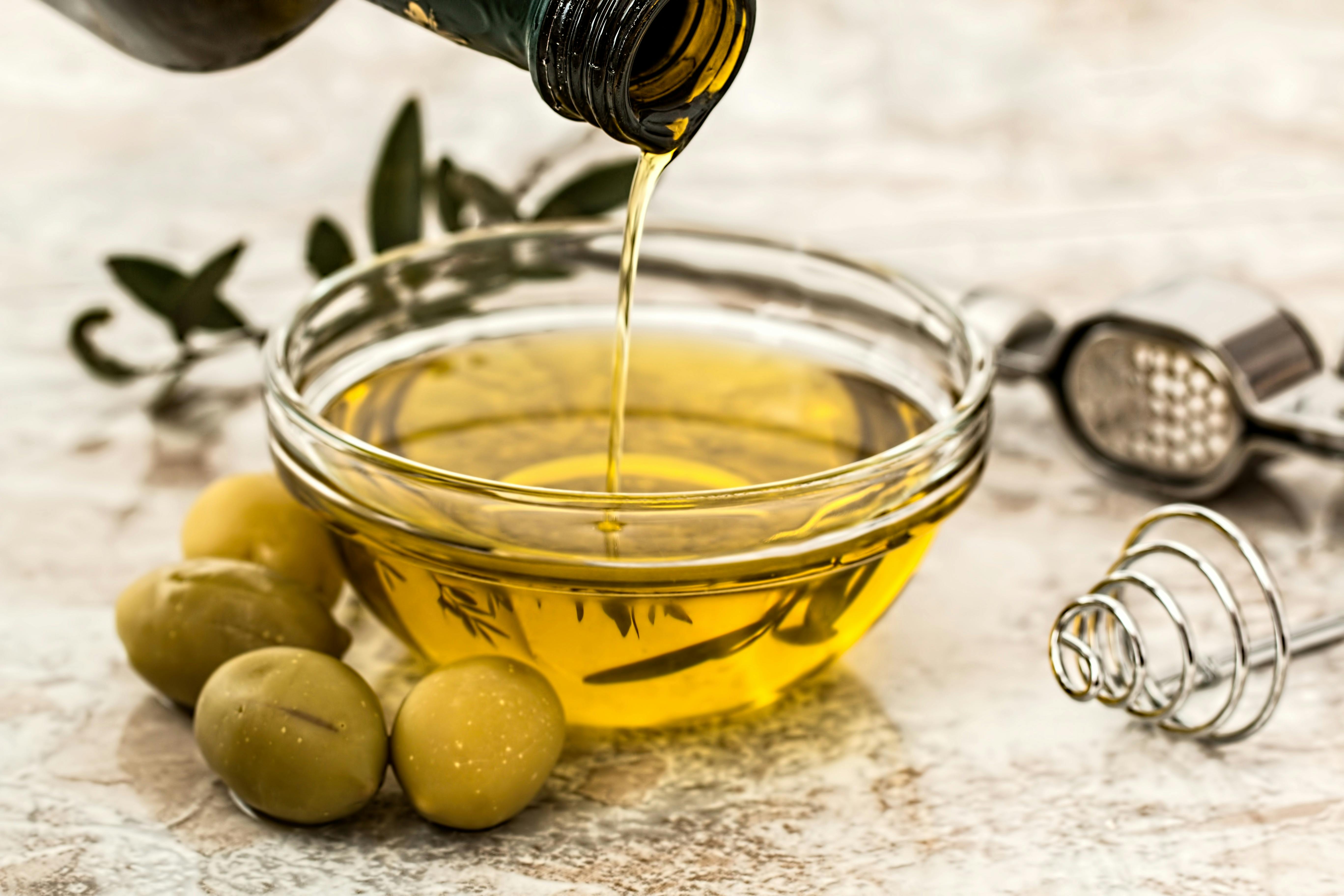Ancient olive tree